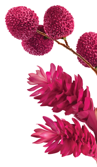 red fruits